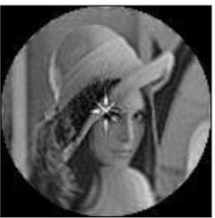 Sensors 21 01544 i010