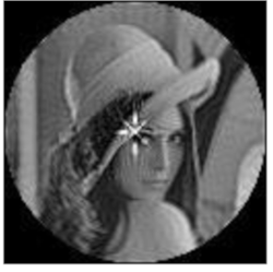 Sensors 21 01544 i011