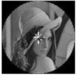 Sensors 21 01544 i012