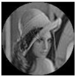 Sensors 21 01544 i013