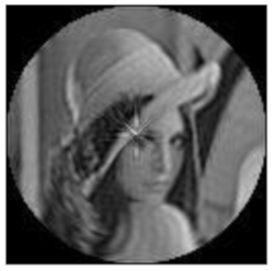 Sensors 21 01544 i014