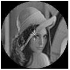 Sensors 21 01544 i015