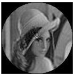 Sensors 21 01544 i019