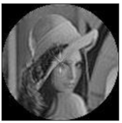 Sensors 21 01544 i021