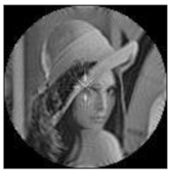 Sensors 21 01544 i023