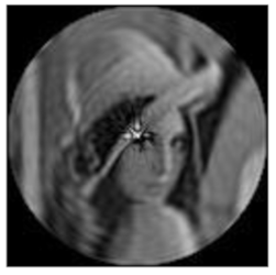 Sensors 21 01544 i025