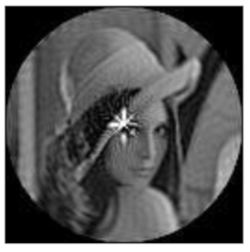 Sensors 21 01544 i027