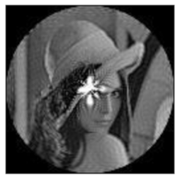 Sensors 21 01544 i029