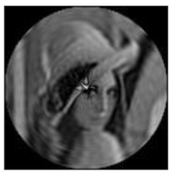 Sensors 21 01544 i031