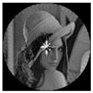 Sensors 21 01544 i035