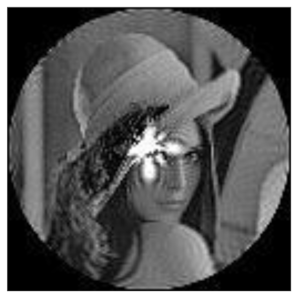 Sensors 21 01544 i036