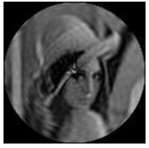 Sensors 21 01544 i037