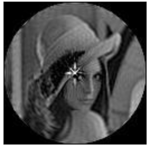 Sensors 21 01544 i039