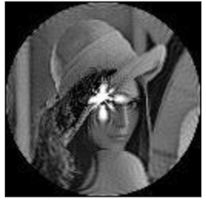 Sensors 21 01544 i042