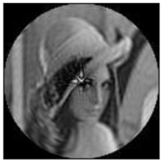 Sensors 21 01544 i070