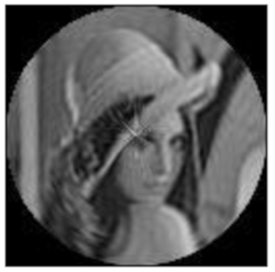 Sensors 21 01544 i071