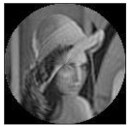 Sensors 21 01544 i073