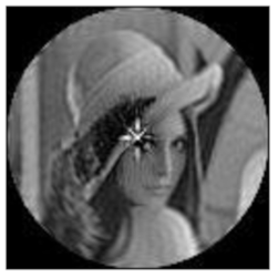 Sensors 21 01544 i075