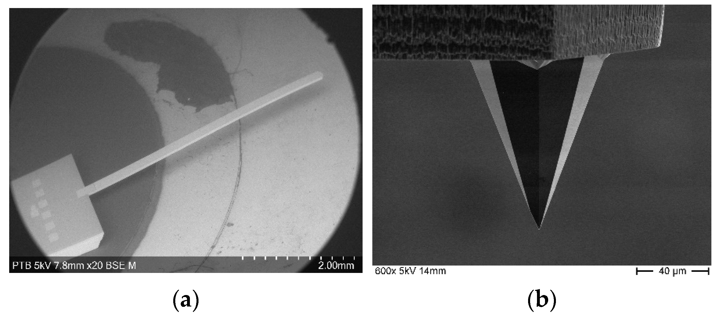 Sensors 21 01557 g001