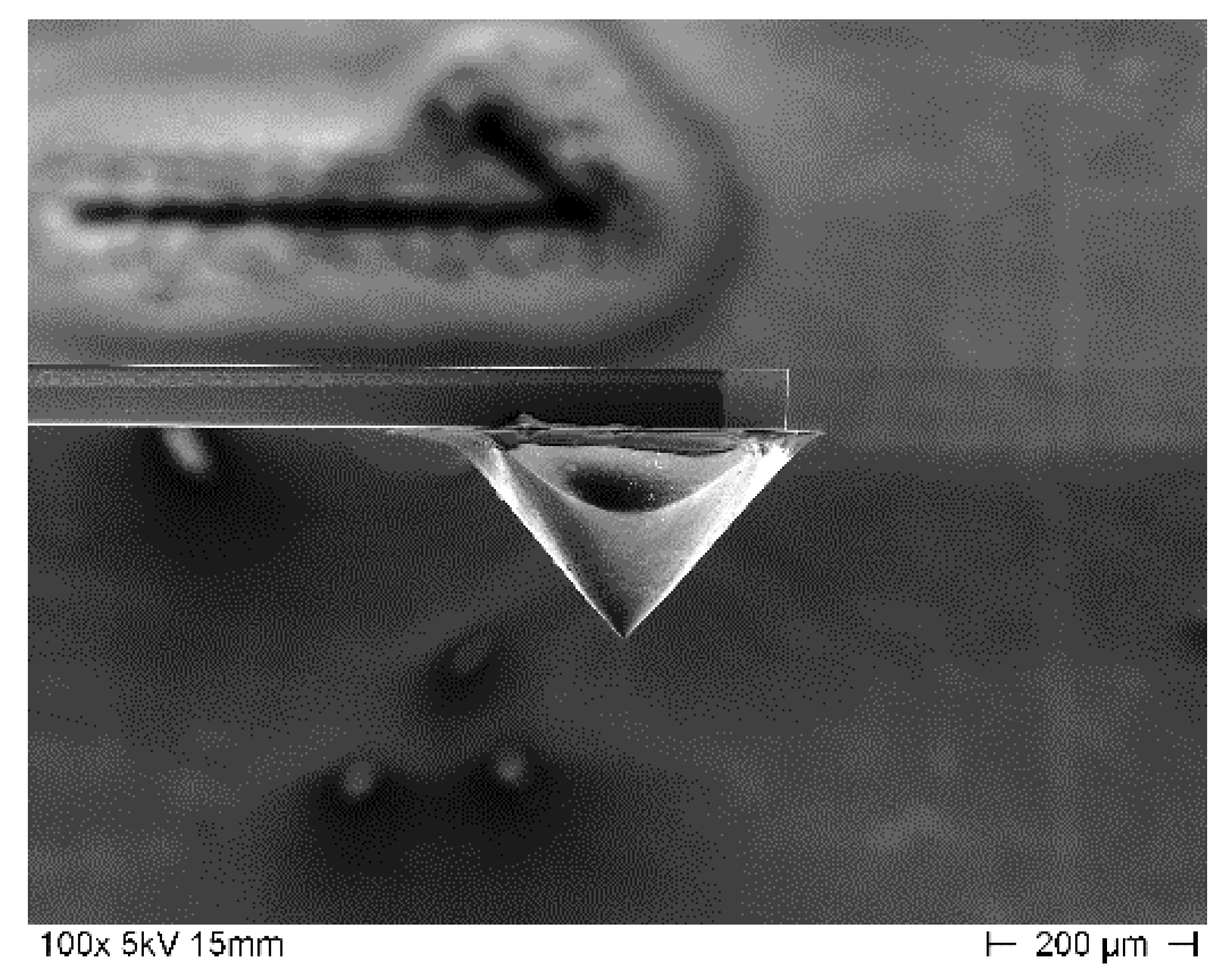 Sensors 21 01557 g004