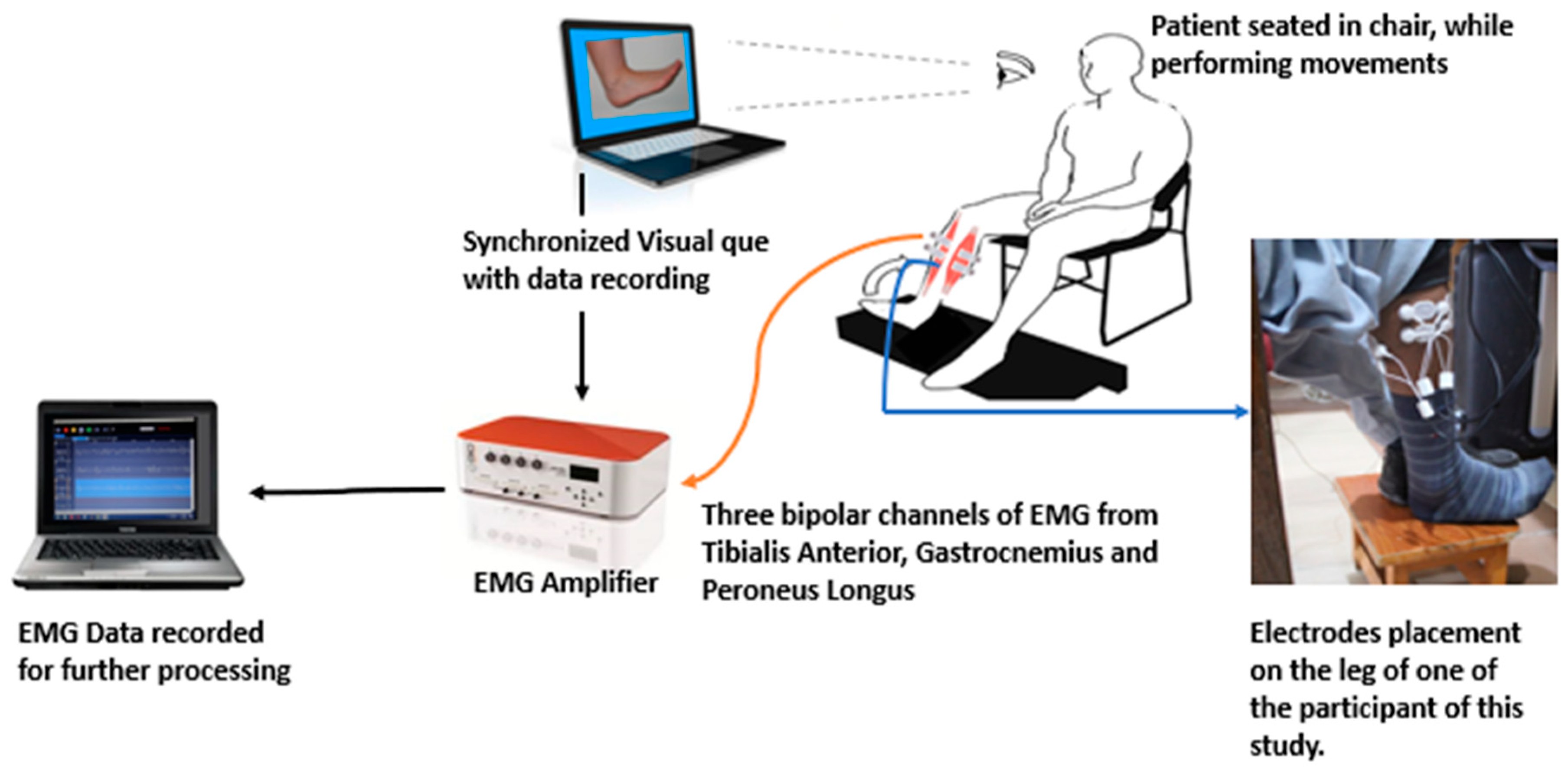 Sensors 21 01575 g001 Sensors 21 01575 g001