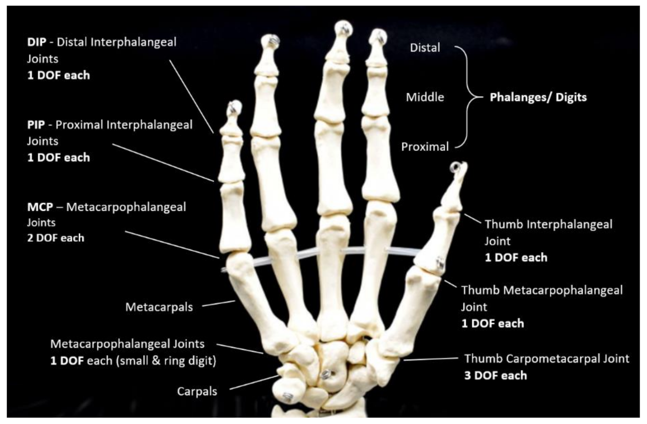 Sensors 21 01576 g004