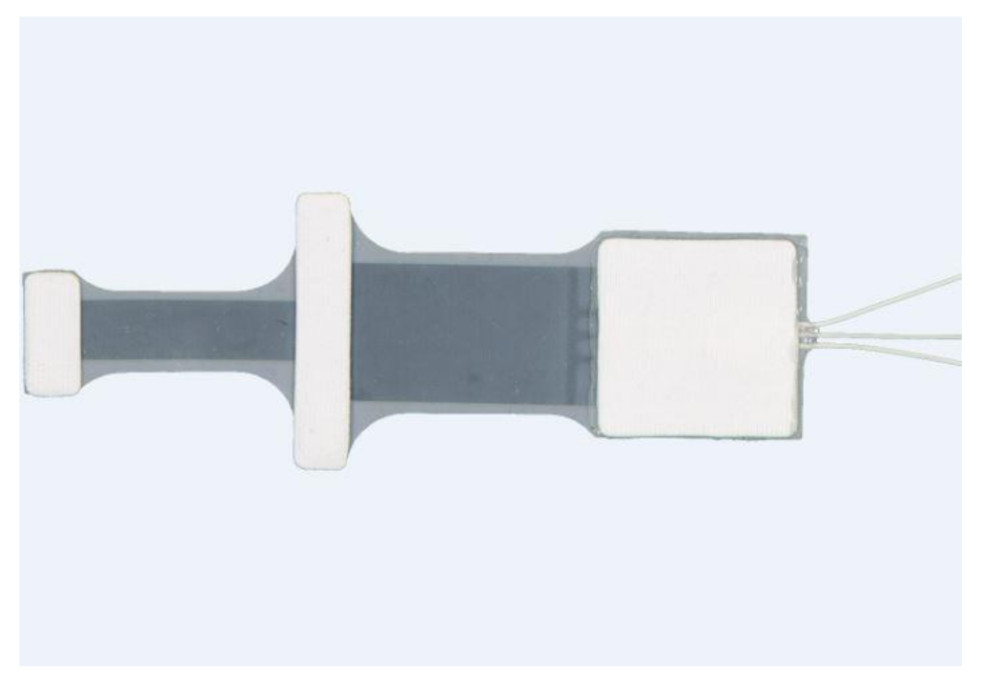 Sensors 21 01576 g013