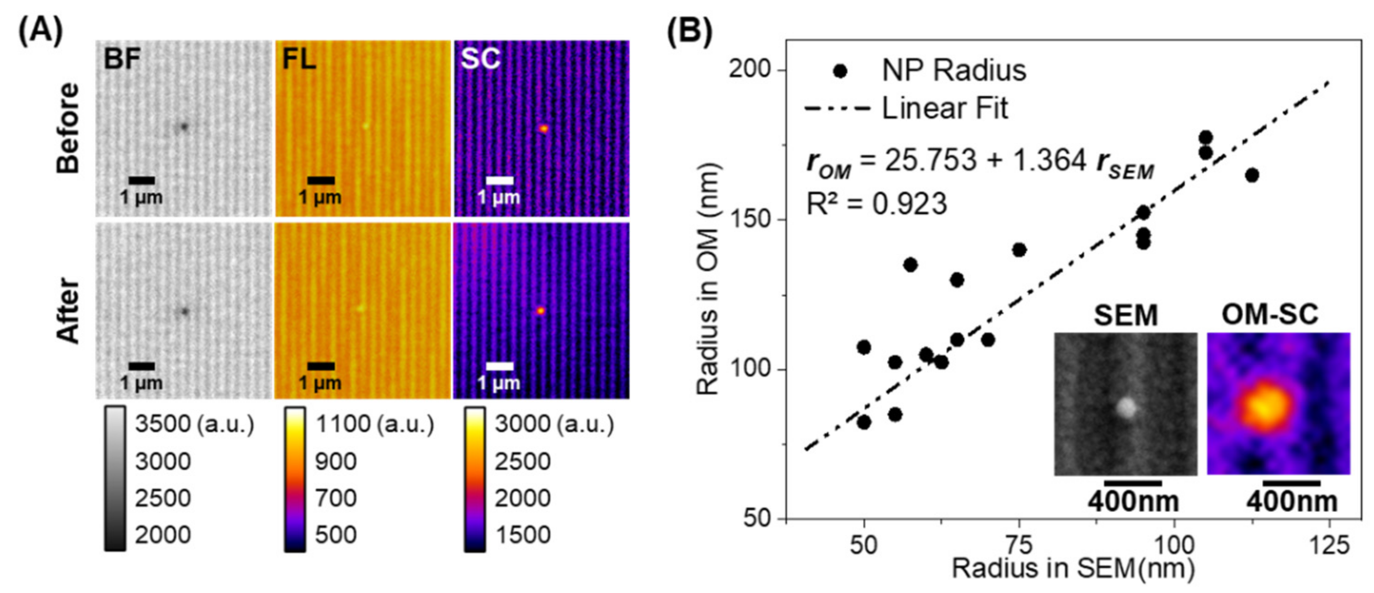 Sensors 21 01585 g003