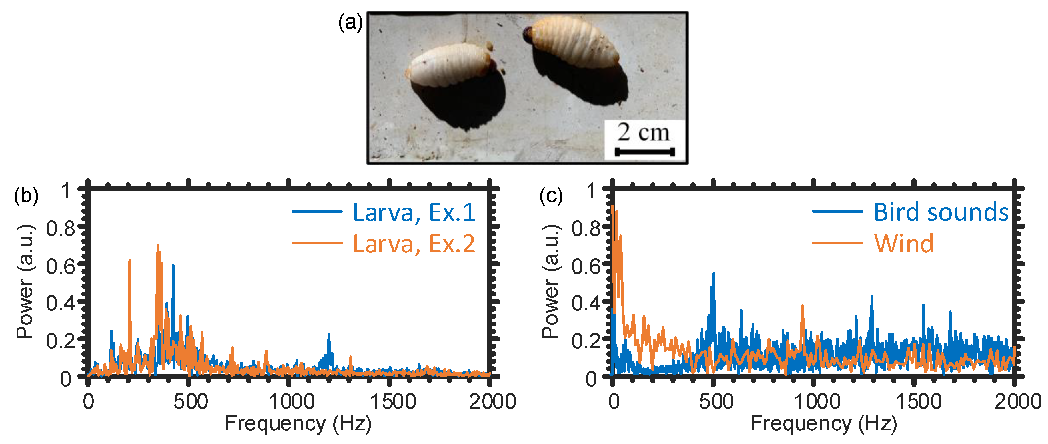 Sensors 21 01592 g004