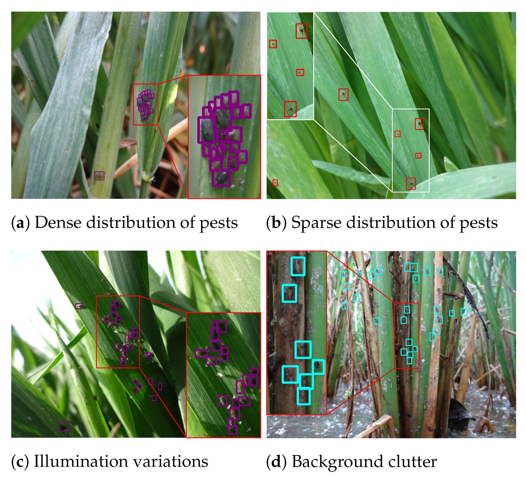 Sensors 21 01601 g001