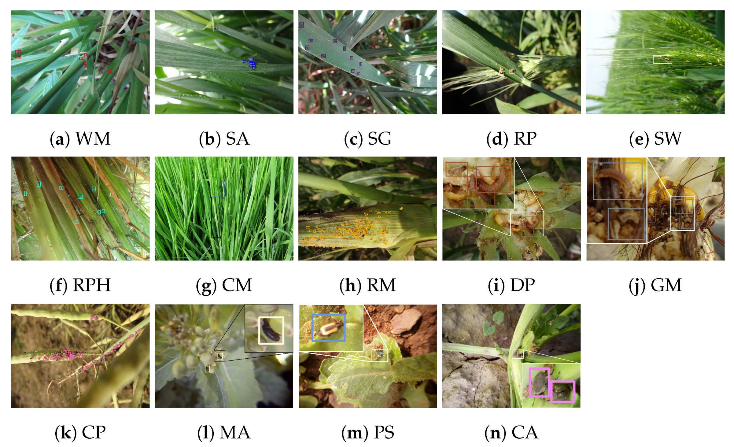 Sensors 21 01601 g002