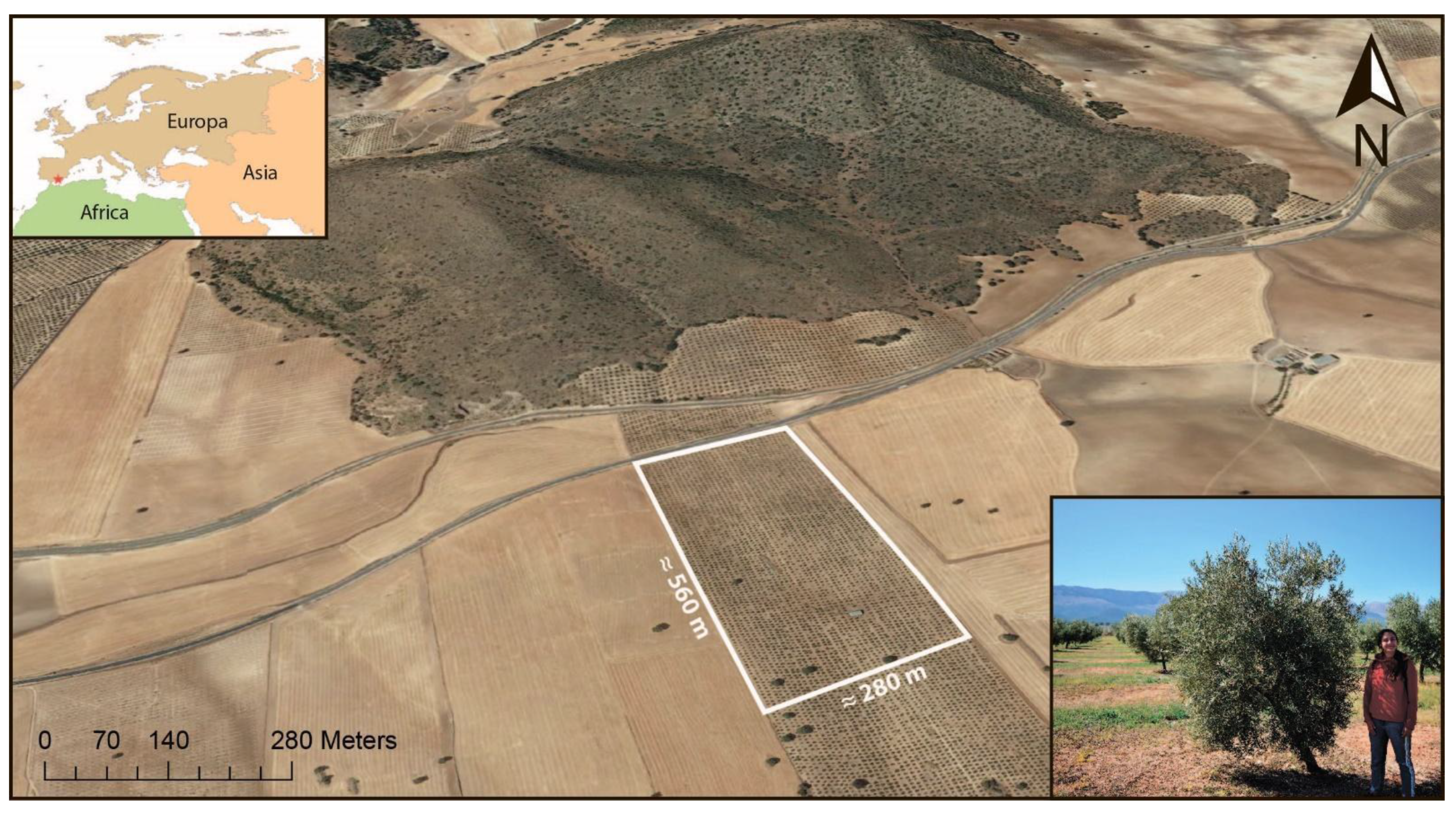 Sensors 21 01617 g002