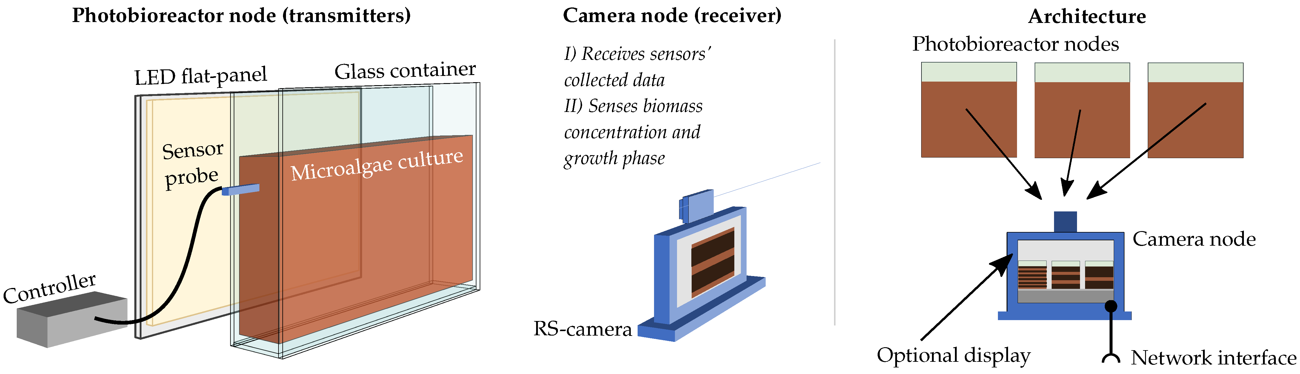 Sensors 21 01621 g001