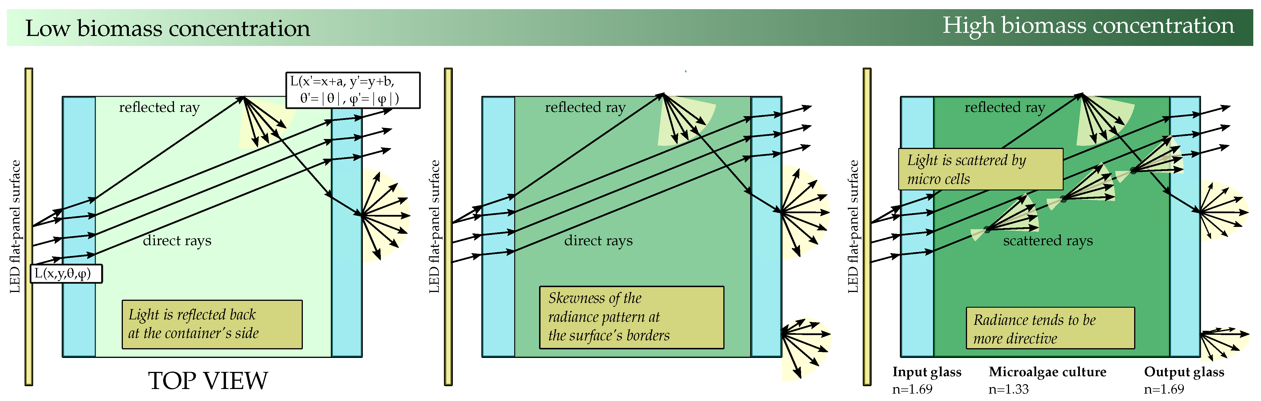 Sensors 21 01621 g002