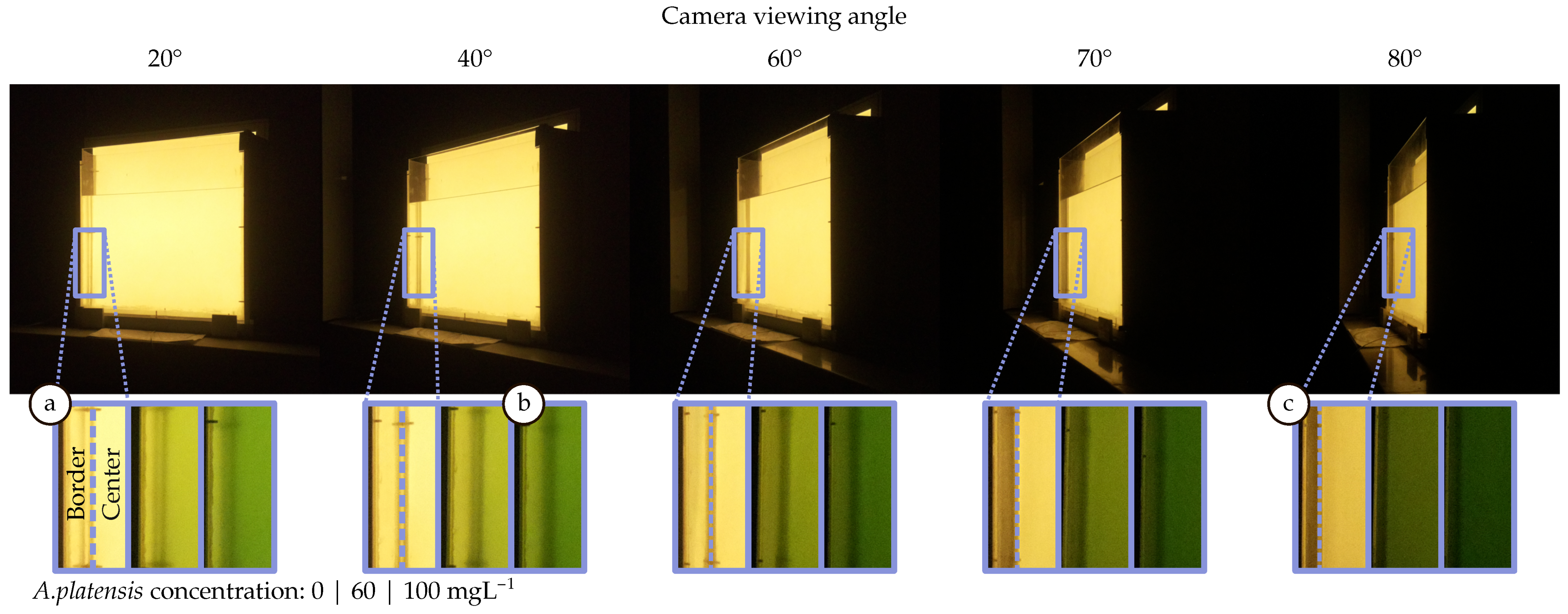 Sensors 21 01621 g009