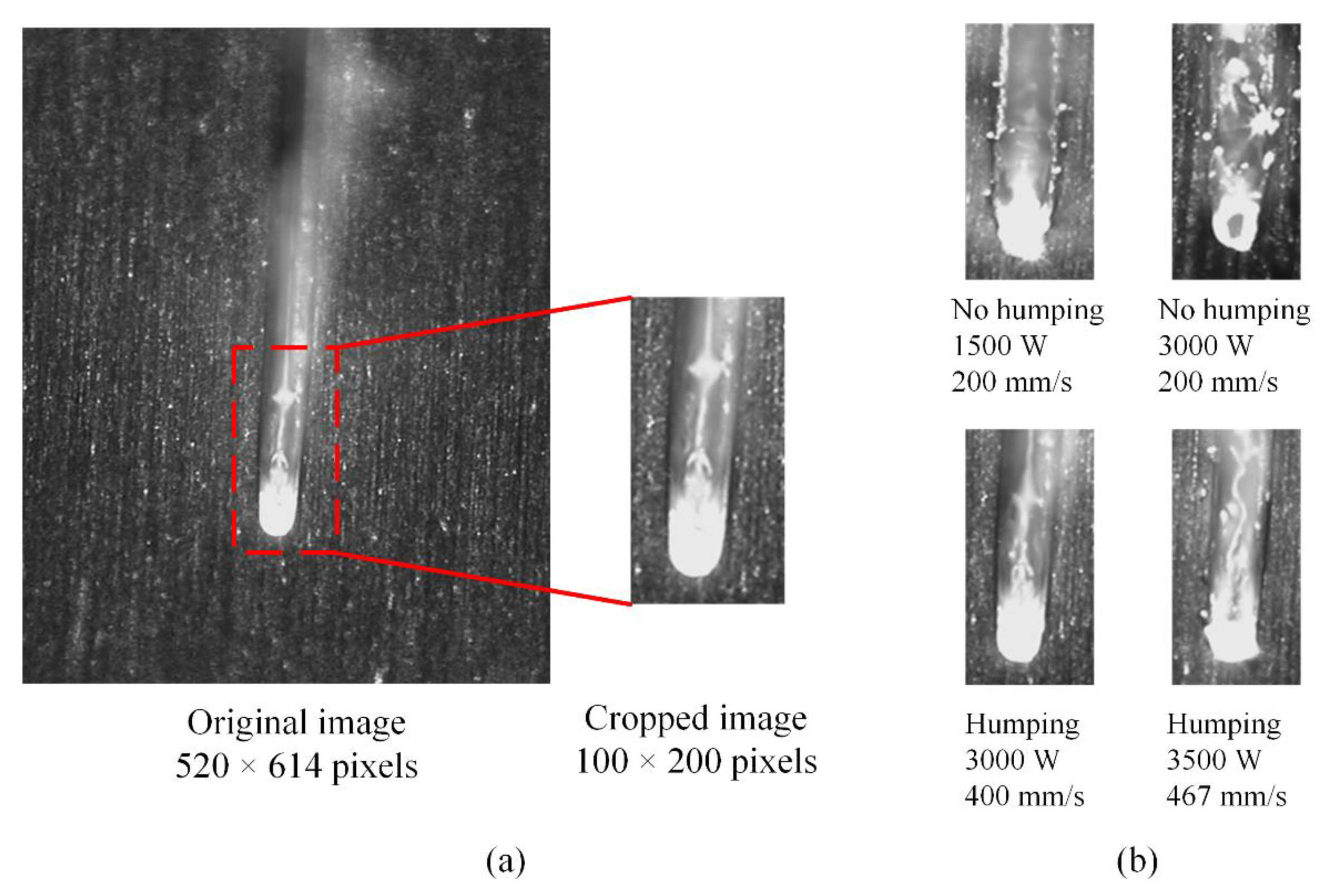 Sensors 21 01626 g006 Sensors 21 01626 g006