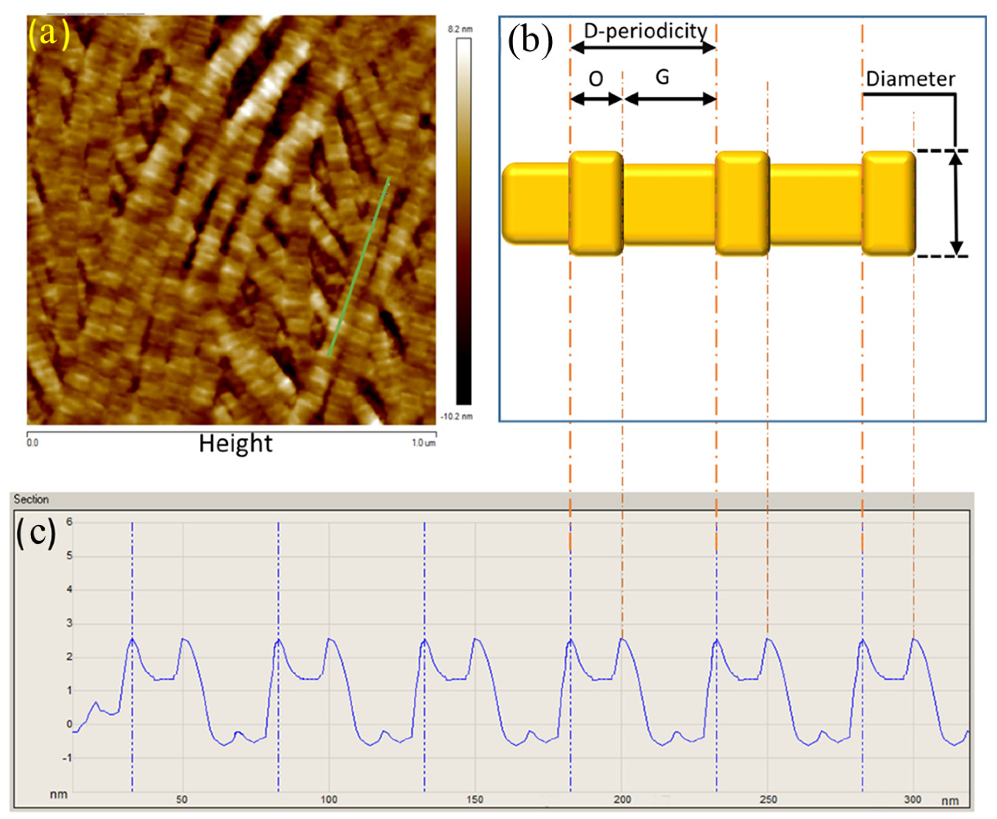 Sensors 21 01629 g001