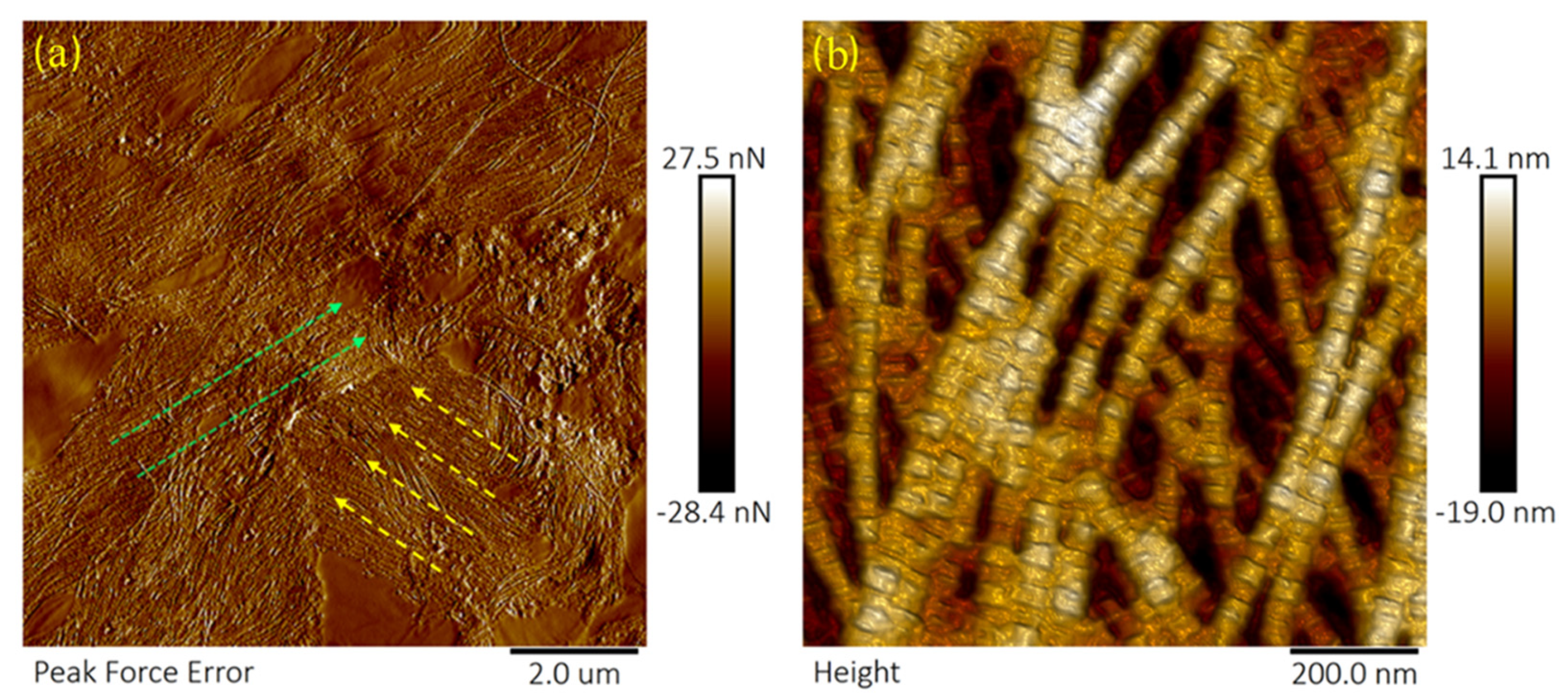 Sensors 21 01629 g002