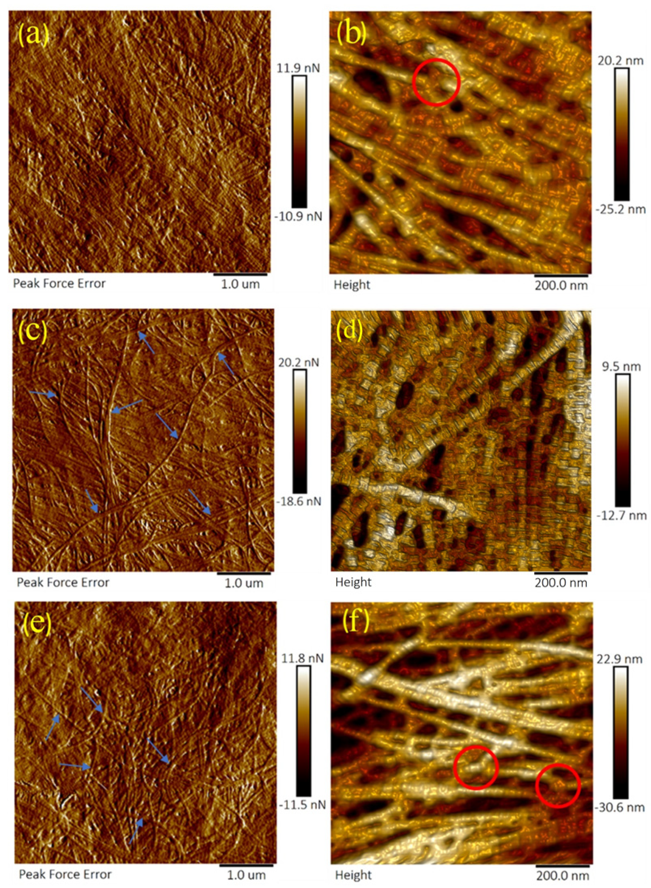 Sensors 21 01629 g003