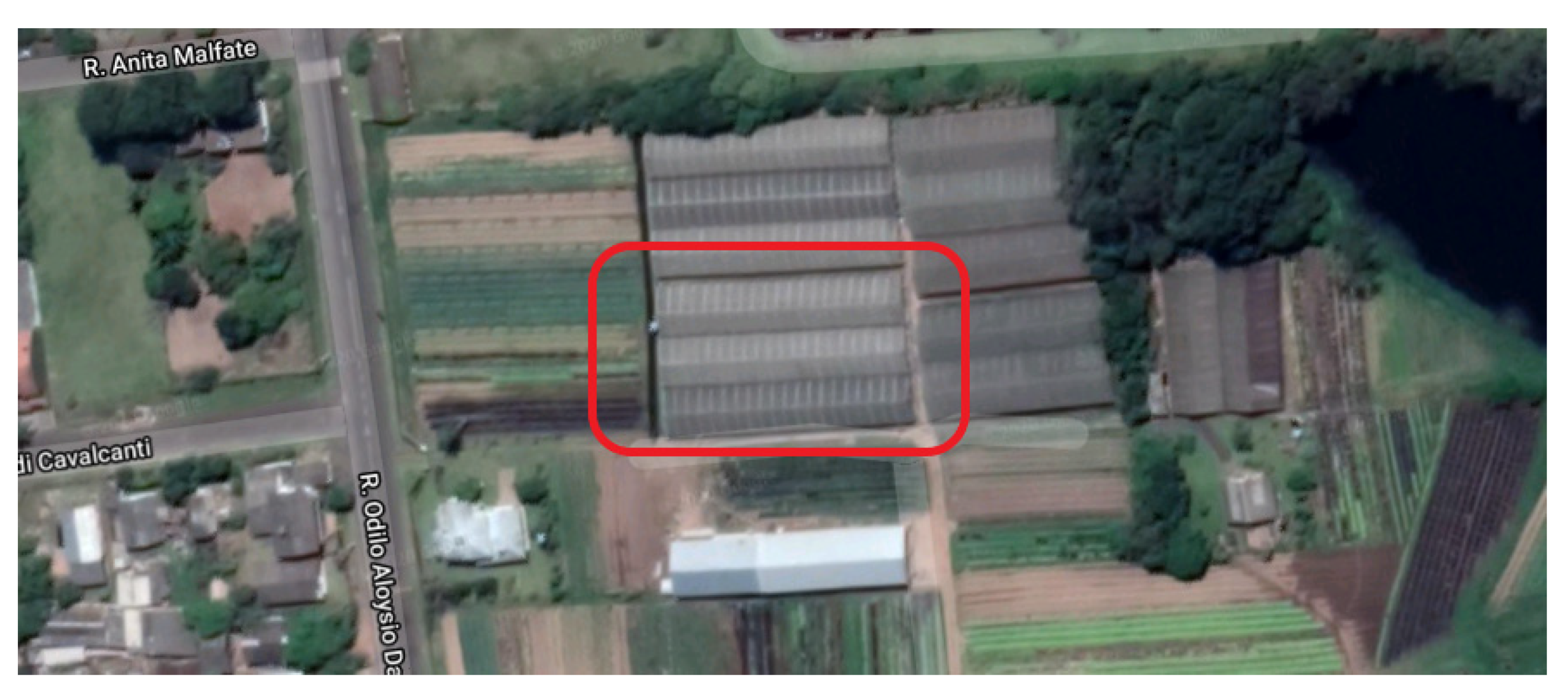 Sensors 21 01631 g004