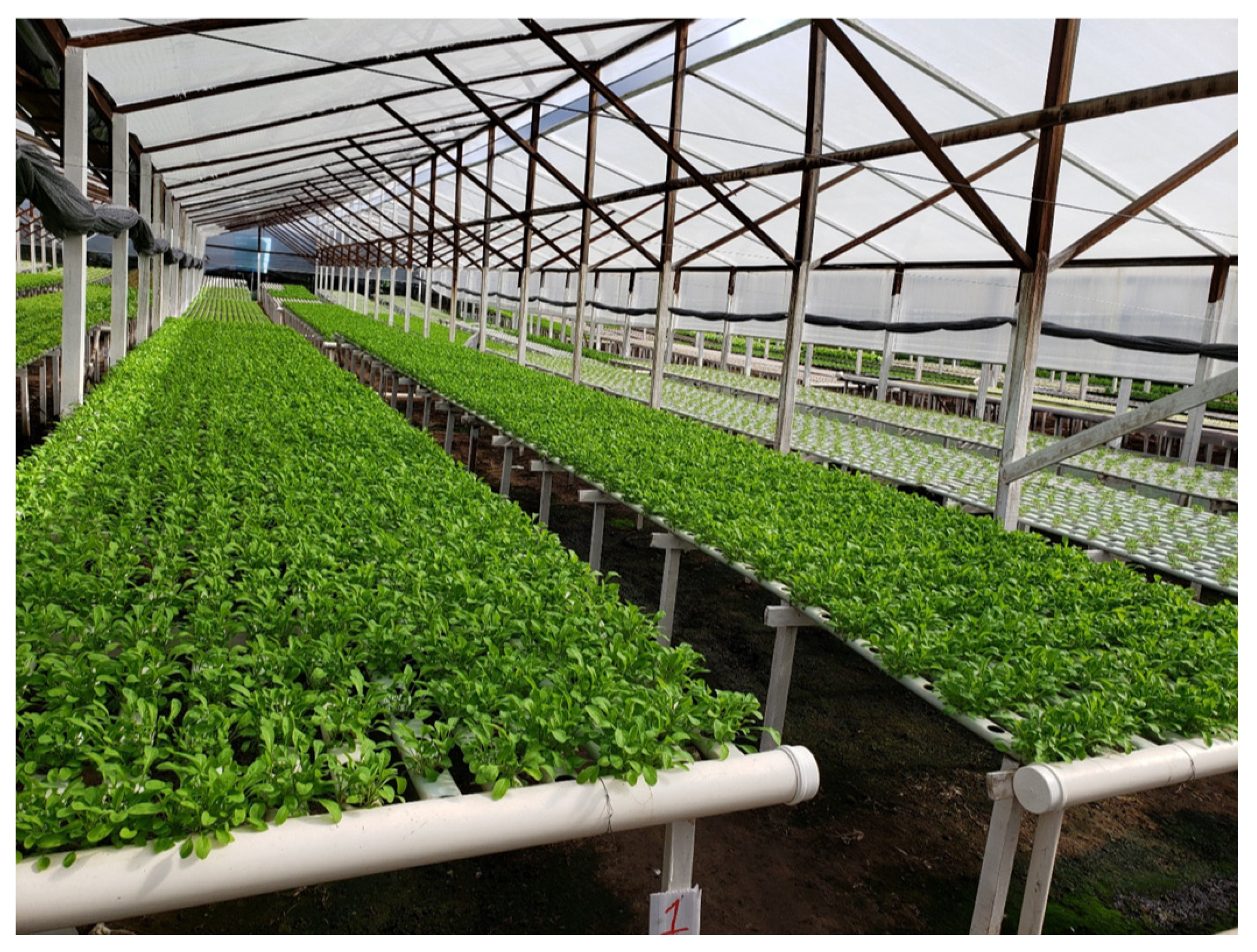 Sensors 21 01631 g005