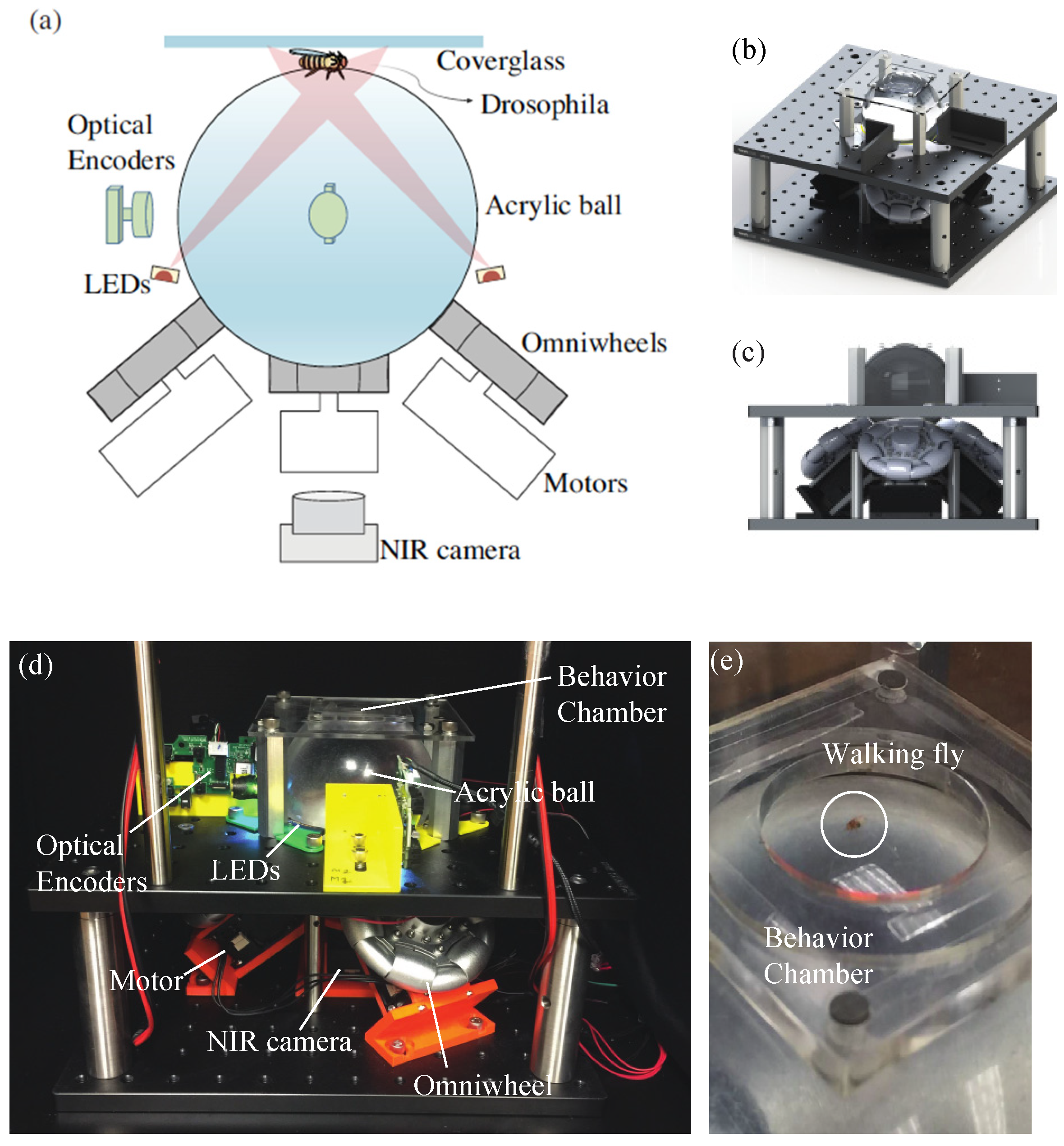 Sensors 21 01651 g001