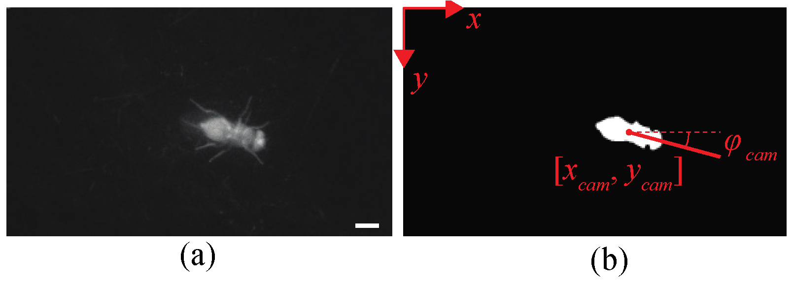 Sensors 21 01651 g003