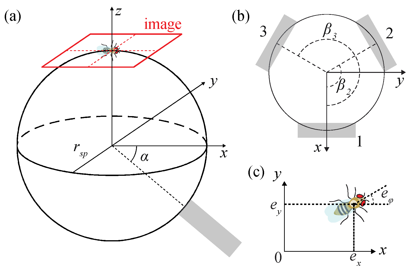 Sensors 21 01651 g005