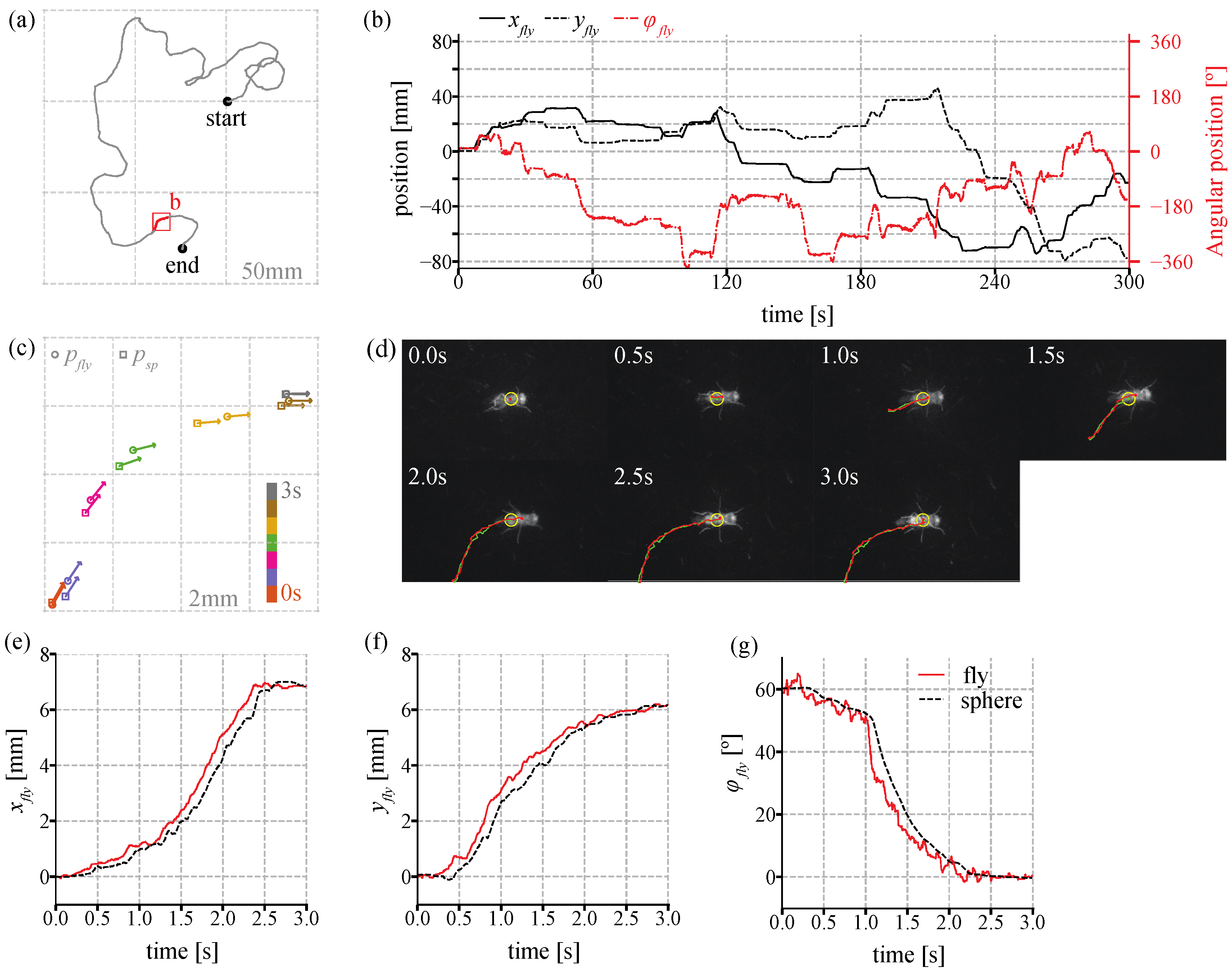 Sensors 21 01651 g007