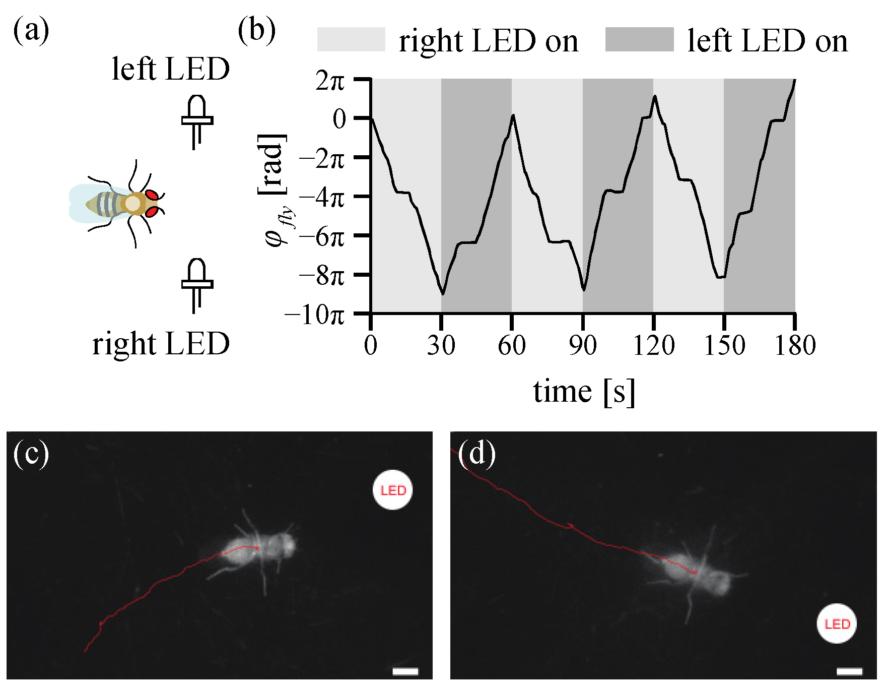 Sensors 21 01651 g009