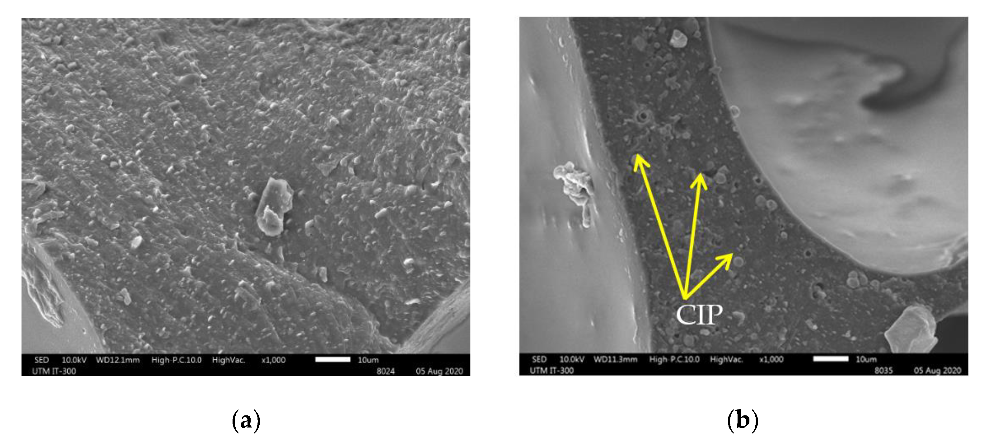 Sensors 21 01660 g010a
