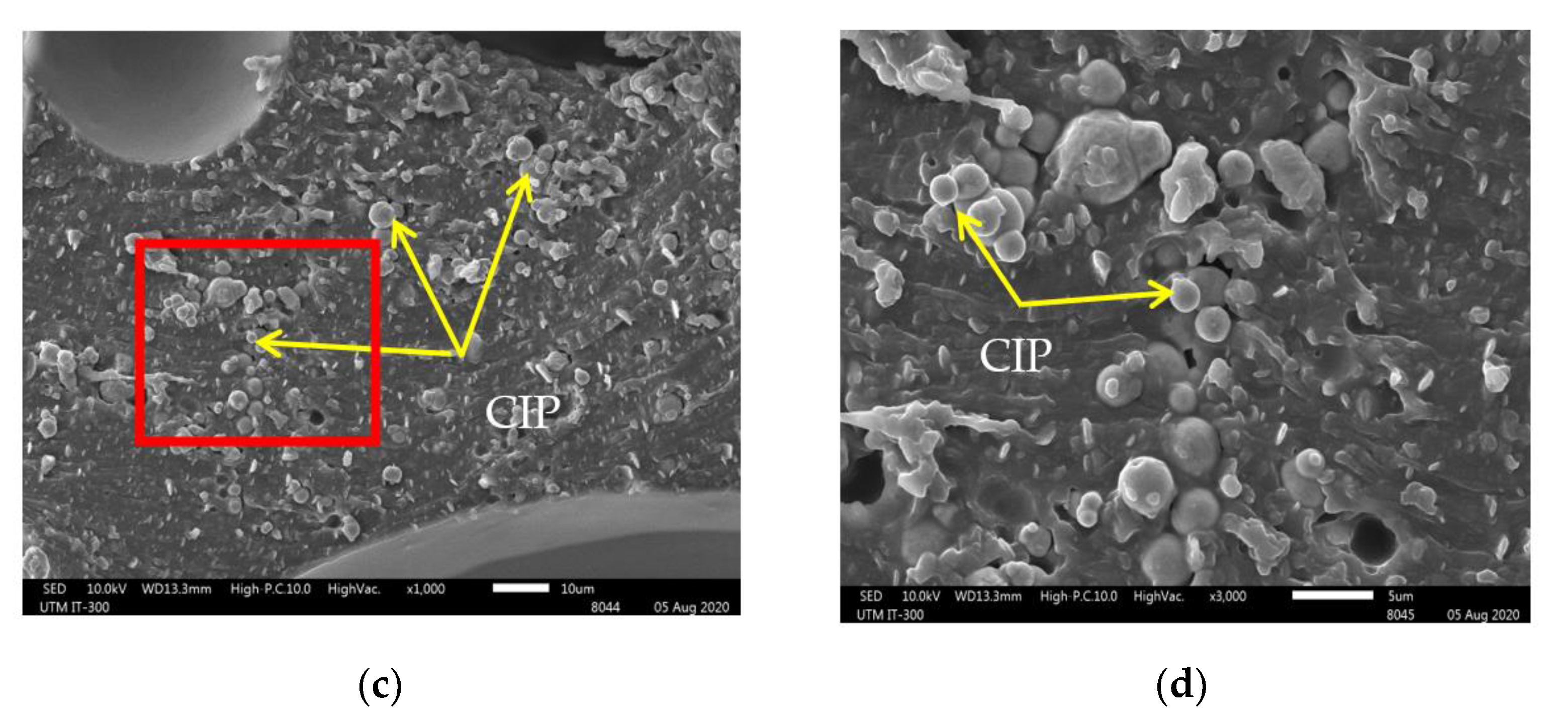 Sensors 21 01660 g010b