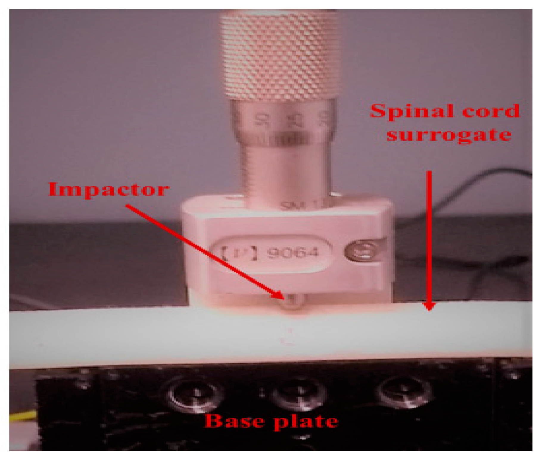 Sensors 21 01671 g005 Sensors 21 01671 g005