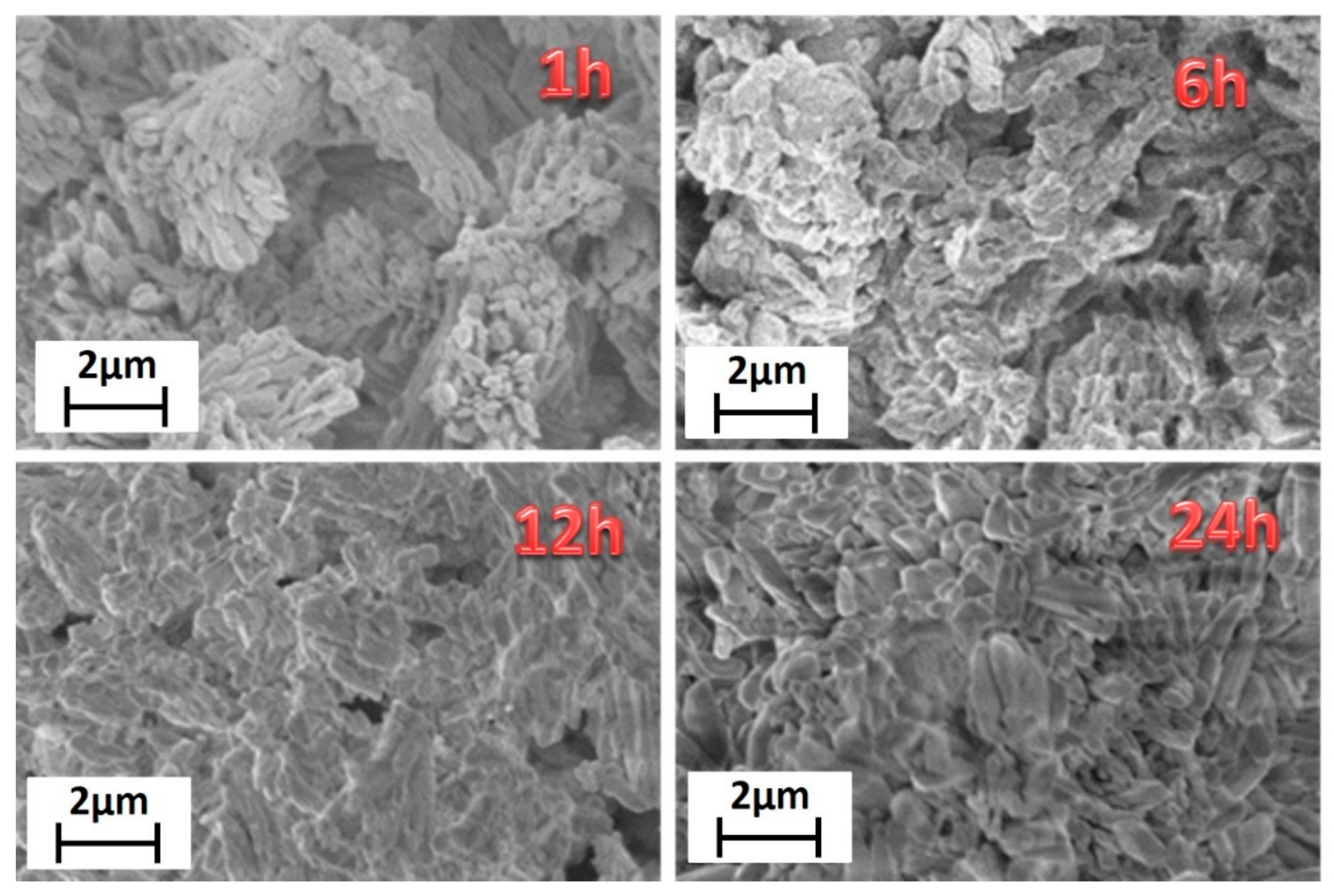 Sensors 21 01679 g002